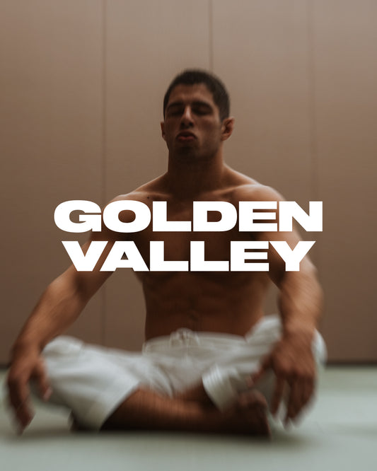 Golden Valley Preset (Adobe Lightroom)